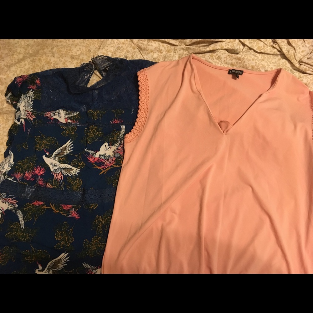 (2) LG EXPRESS Blouses